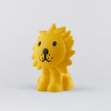 Luce notturna Leone